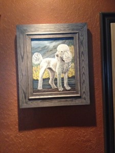 Beautiful portrait of Sirus