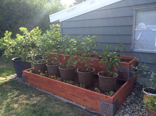 The new planting bed