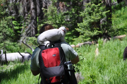 Finally needed a little ride