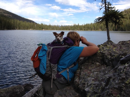 Totally comfortable in backpacks. This was a Montana hike several years ago